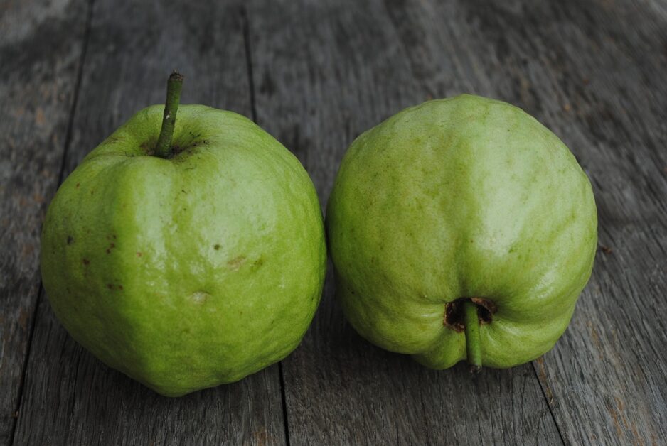 Buah dengan Protein Tertinggi - Jambu Biji